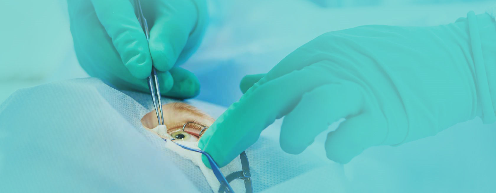 title_6932fa0d6d2d421167180141764948493